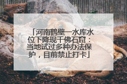 河南鹤壁一水库水位下降现千佛石窟：当地试过多种办法保护，目前禁止打卡