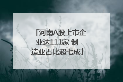 河南A股上市企业达111家 制造业占比超七成