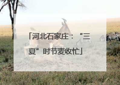 河北石家庄：“三夏”时节麦收忙