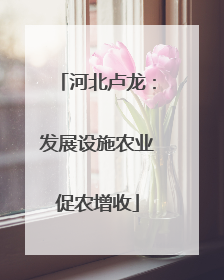 河北卢龙：发展设施农业促农增收