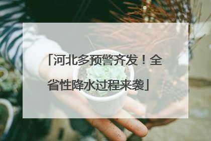 河北多预警齐发！全省性降水过程来袭