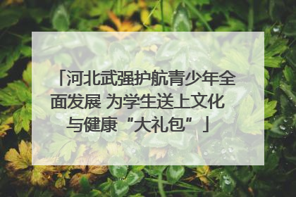 河北武强护航青少年全面发展 为学生送上文化与健康“大礼包”