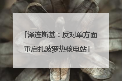 泽连斯基：反对单方面重启扎波罗热核电站