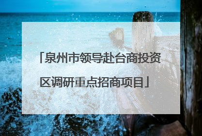 泉州市领导赴台商投资区调研重点招商项目