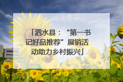 泗水县：“第一书记好品推荐”展销活动助力乡村振兴