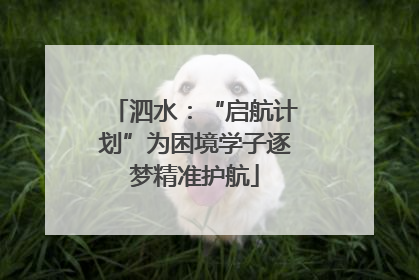 泗水：“启航计划”为困境学子逐梦精准护航