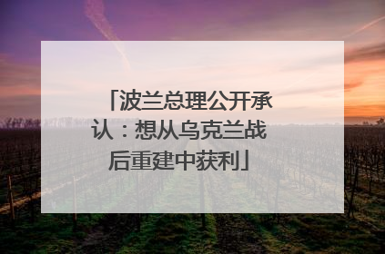 波兰总理公开承认：想从乌克兰战后重建中获利