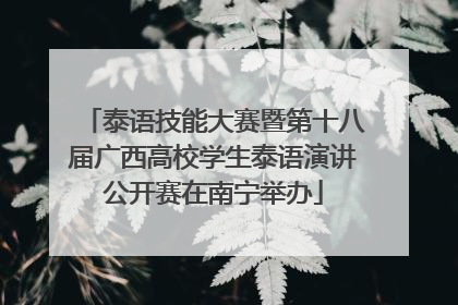 泰语技能大赛暨第十八届广西高校学生泰语演讲公开赛在南宁举办