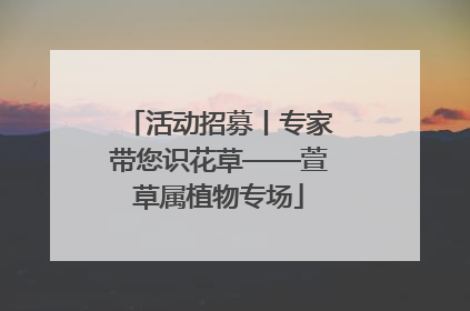 活动招募丨专家带您识花草——萱草属植物专场