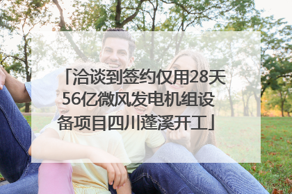 洽谈到签约仅用28天 56亿微风发电机组设备项目四川蓬溪开工