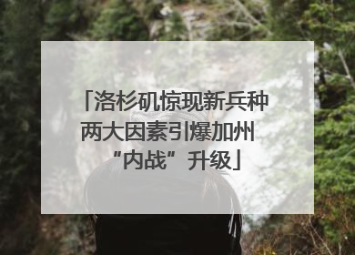 洛杉矶惊现新兵种 两大因素引爆加州“内战”升级