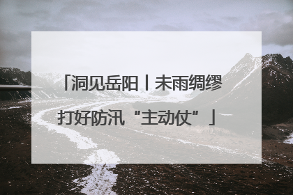 洞见岳阳丨未雨绸缪 打好防汛“主动仗”
