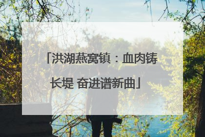 洪湖燕窝镇：血肉铸长堤 奋进谱新曲