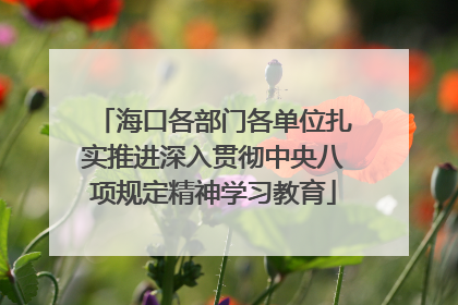 海口各部门各单位扎实推进深入贯彻中央八项规定精神学习教育