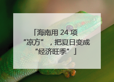 海南用 24 项 “凉方”，把夏日变成 “经济旺季”