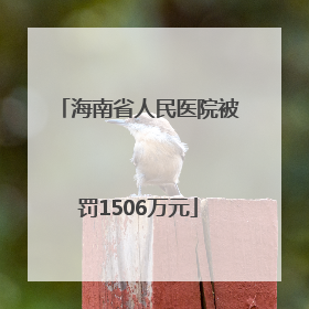 海南省人民医院被罚1506万元