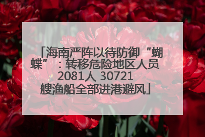 海南严阵以待防御“蝴蝶”：转移危险地区人员2081人 30721艘渔船全部进港避风