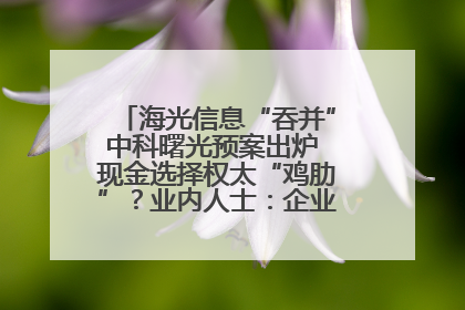 海光信息“吞并”中科曙光预案出炉 现金选择权太“鸡肋”？业内人士：企业不想大量现金流出