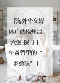 海外华文媒体广西梧州品六堡 探寻千年茶香里的“乡愁味”