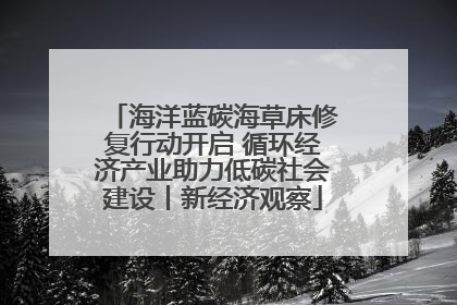 海洋蓝碳海草床修复行动开启 循环经济产业助力低碳社会建设丨新经济观察