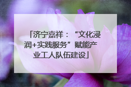 济宁嘉祥：“文化浸润+实践服务”赋能产业工人队伍建设
