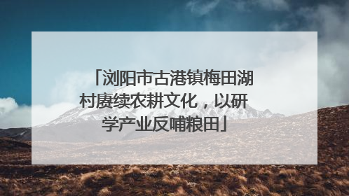 浏阳市古港镇梅田湖村赓续农耕文化，以研学产业反哺粮田