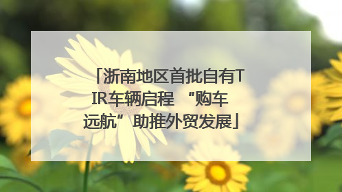 浙南地区首批自有TIR车辆启程 “购车远航”助推外贸发展