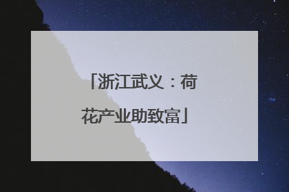 浙江武义：荷花产业助致富
