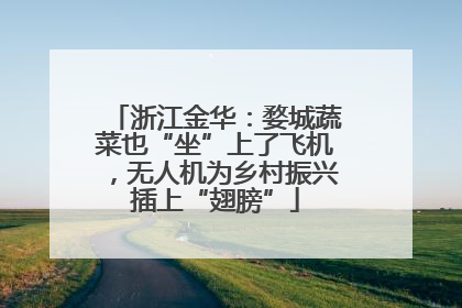 浙江金华：婺城蔬菜也“坐”上了飞机，无人机为乡村振兴插上“翅膀”