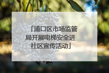 浦口区市场监管局开展电梯安全进社区宣传活动
