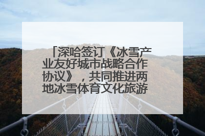深哈签订《冰雪产业友好城市战略合作协议》，共同推进两地冰雪体育文化旅游高质量发展