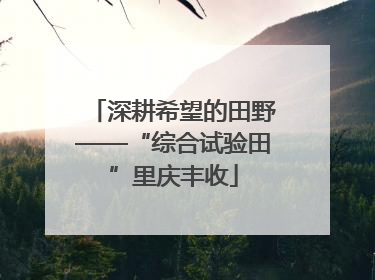深耕希望的田野——“综合试验田”里庆丰收
