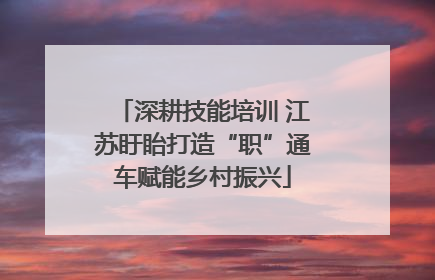 深耕技能培训 江苏盱眙打造“职”通车赋能乡村振兴