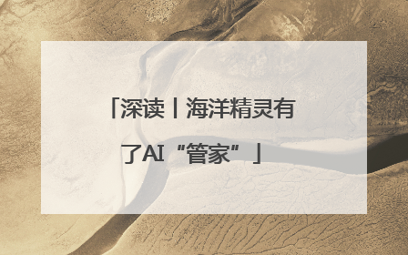 深读丨海洋精灵有了AI“管家”
