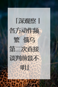 深观察丨各方动作频繁  俄乌第二次直接谈判前景不明