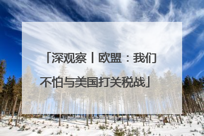 深观察丨欧盟：我们不怕与美国打关税战