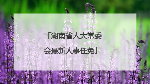 湖南省人大常委会最新人事任免