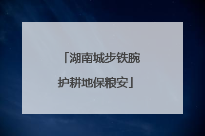 湖南城步铁腕护耕地保粮安