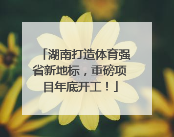 湖南打造体育强省新地标，重磅项目年底开工！