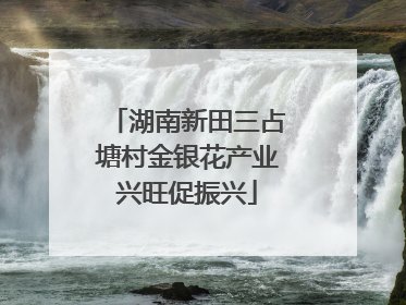 湖南新田三占塘村金银花产业兴旺促振兴
