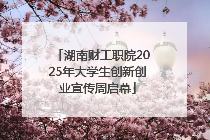 湖南财工职院2025年大学生创新创业宣传周启幕