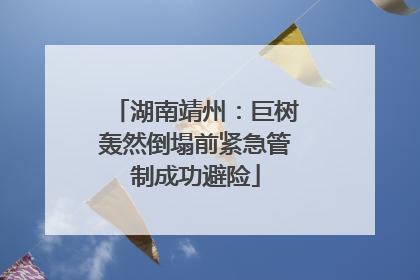 湖南靖州：巨树轰然倒塌前紧急管制成功避险