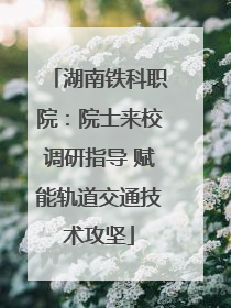 湖南铁科职院：院士来校调研指导 赋能轨道交通技术攻坚