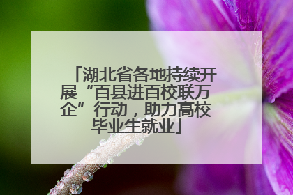 湖北省各地持续开展“百县进百校联万企”行动，助力高校毕业生就业