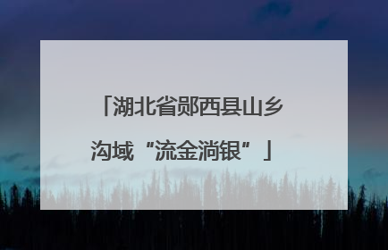 湖北省郧西县山乡沟域“流金淌银”
