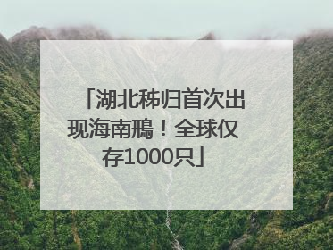湖北秭归首次出现海南鳽！全球仅存1000只