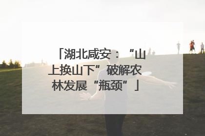 湖北咸安：“山上换山下”破解农林发展“瓶颈”