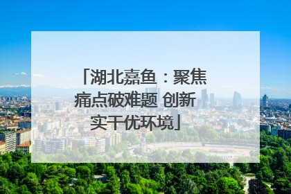 湖北嘉鱼：聚焦痛点破难题 创新实干优环境