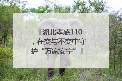 湖北孝感110，在变与不变中守护“万家安宁”