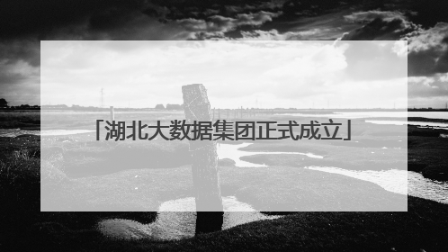 湖北大数据集团正式成立